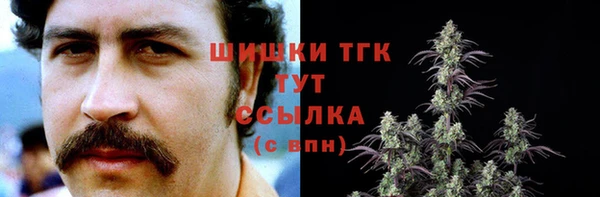 прущие грибы Абинск