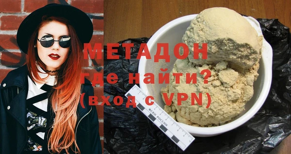 прущие грибы Абинск