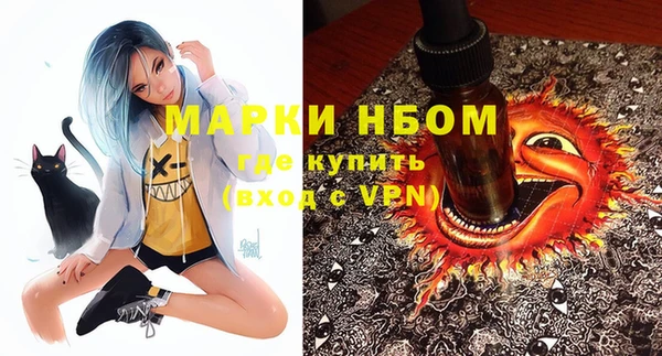 прущие грибы Абинск