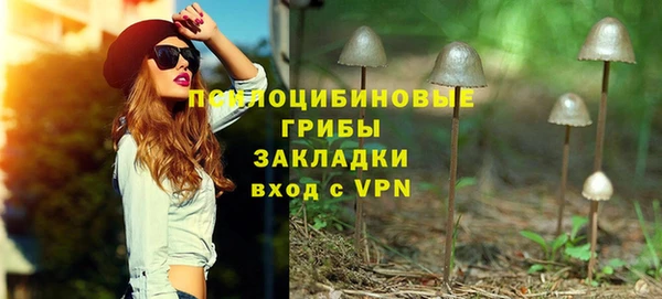 ешки Абаза