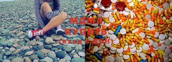 прущие грибы Абинск