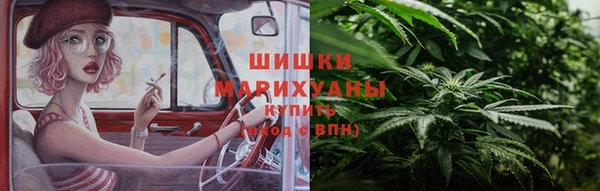 прущие грибы Абинск