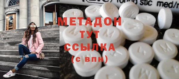 прущие грибы Абинск