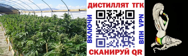 Дистиллят ТГК гашишное масло  как найти   Плавск 