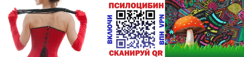Псилоцибиновые грибы прущие грибы  Плавск 